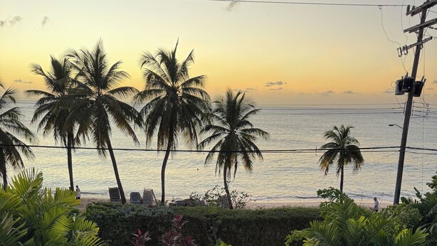 A swimming pool with lounge chairs and umbrellas, surrounded by palm trees and a view of the ocean. - Tradewinds, villa with sea views & pool, 1min walk to beach.  (Saint Peter)