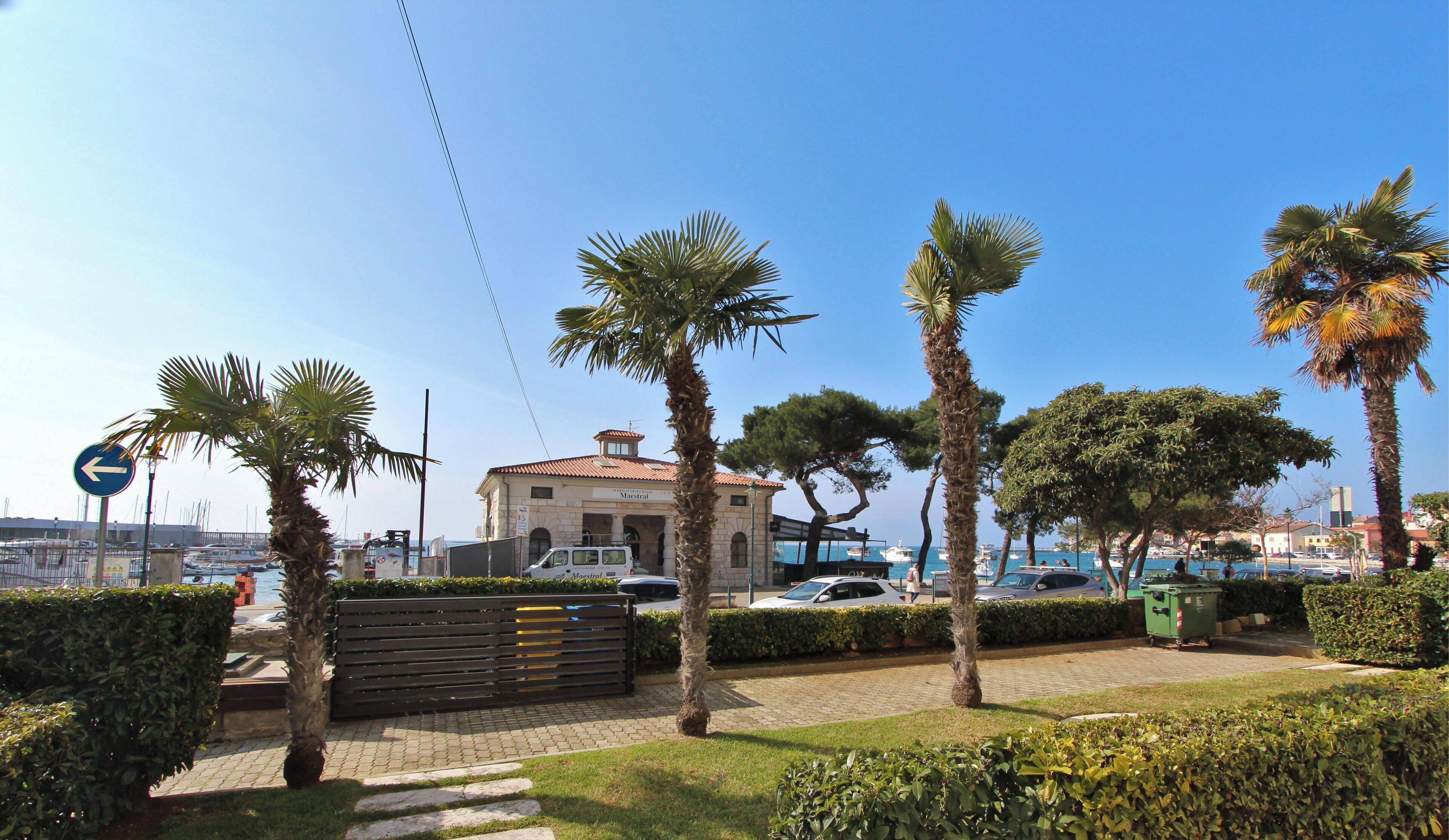 Basic Room, 1 Double Bed | View from room