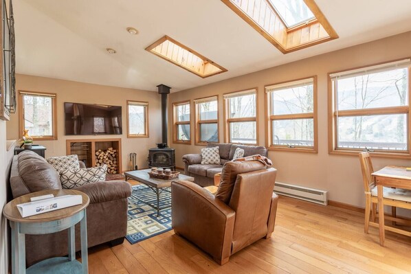 Smart TV, fireplace, books