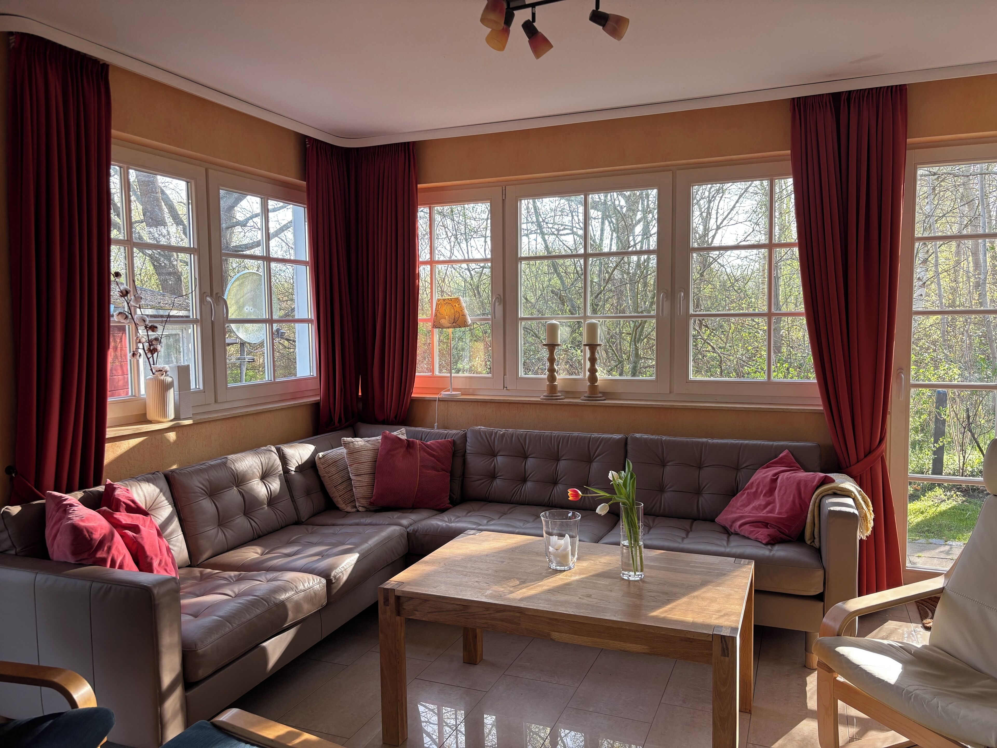 Televisión, chimenea, reproductor de DVD, libros