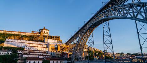 Un ampio ponte in acciaio che attraversa un fiume, con un complesso di edifici storici sulla riva opposta.