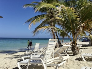 A beach with white lounge chairs, a palm tree, and a clear blue sky.