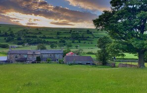 Área da propriedade