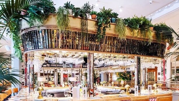 A bar area with a curved counter, multiple seating options, and a variety of plants and decorations. - City Heart Brighton (Brighton)