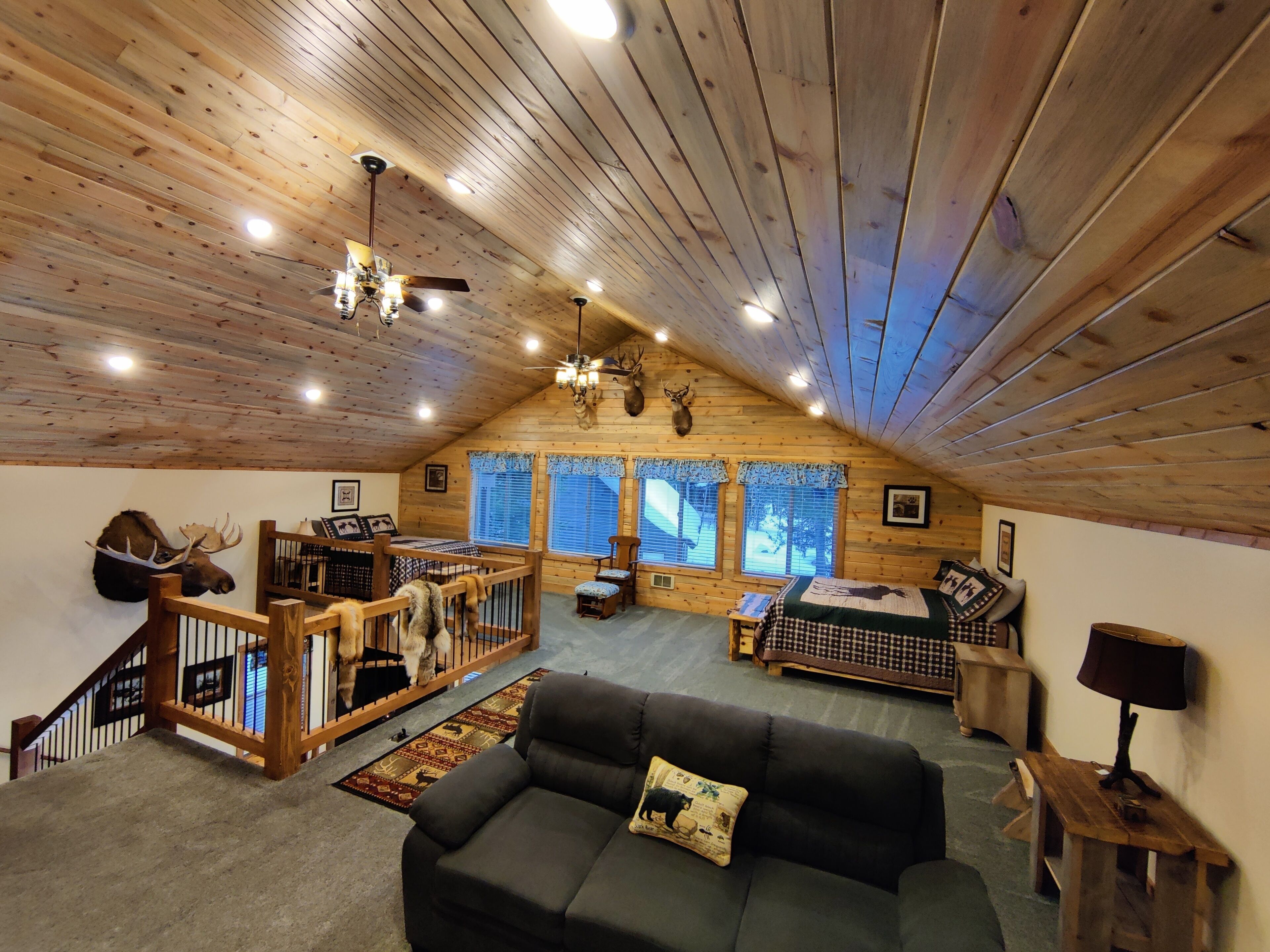 TV connectée, cheminée, lecteur de DVD, livres