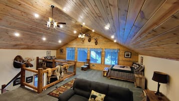 TV connectée, cheminée, lecteur de DVD, livres