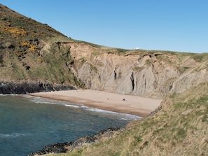 Beach nearby - Honeysuckle Cottage (Llanfyrnach)