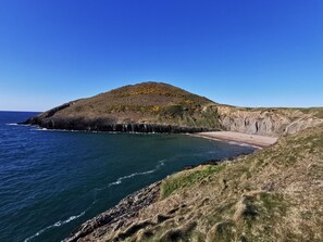 Beach nearby - Honeysuckle Cottage  (Llanfyrnach)
