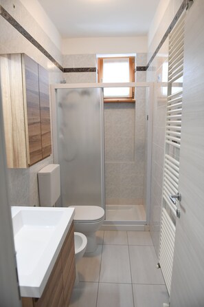 Shower, hair dryer, bidet, towels