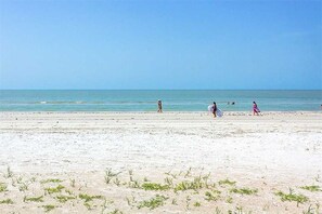 Playa en los alrededores