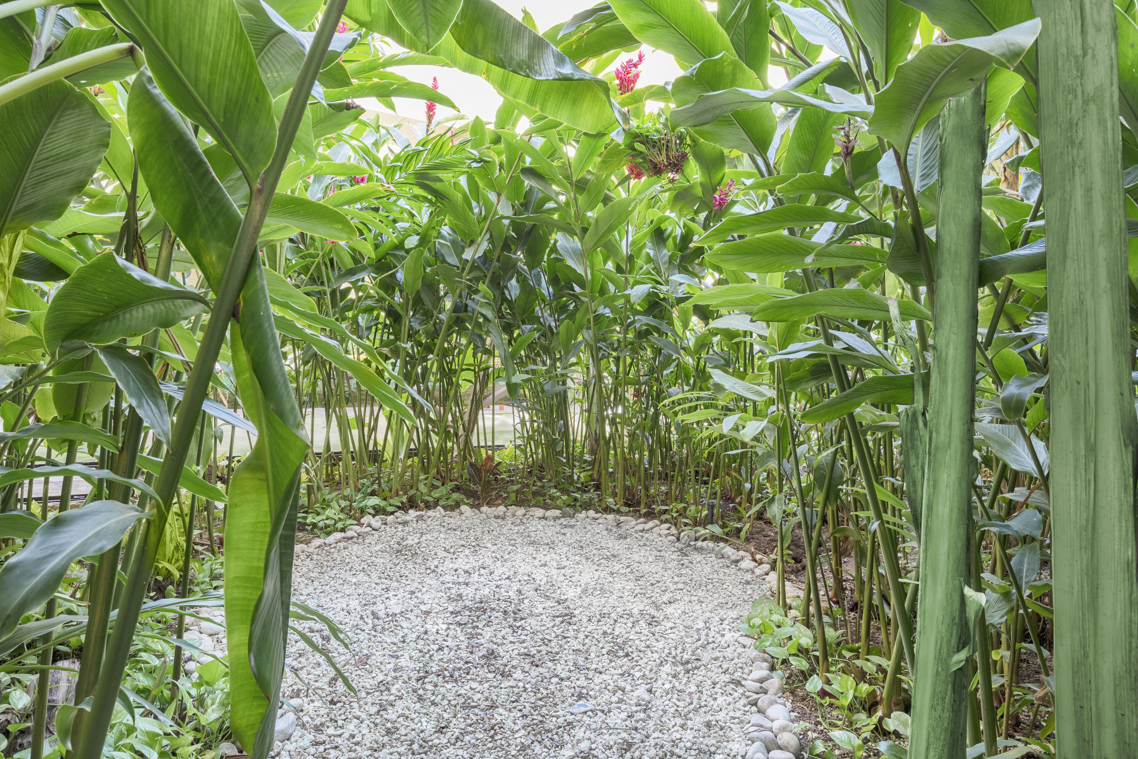 Photo - The Yucatan Playa Del Carmen, Tapestry Collection By Hilton