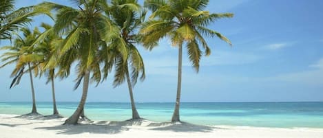 Nära stranden och vit sandstrand