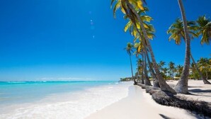 A beach with white sand, clear turquoise water, and palm trees. - Luxury Apartments Bello (Punta Cana)