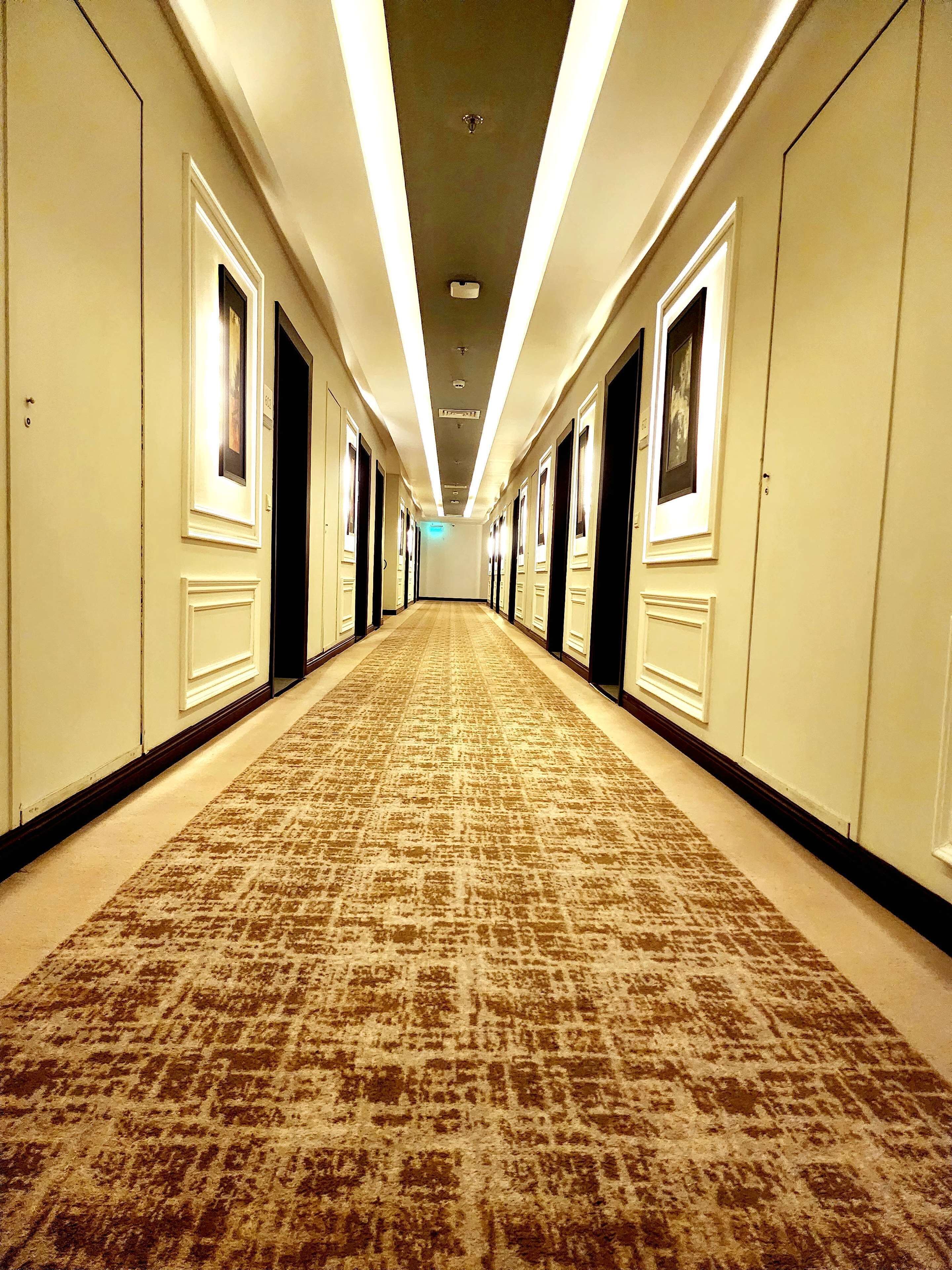 Un lungo e stretto corridoio di albergo con porte su entrambi i lati, una moquette decorata e luci a soffitto.