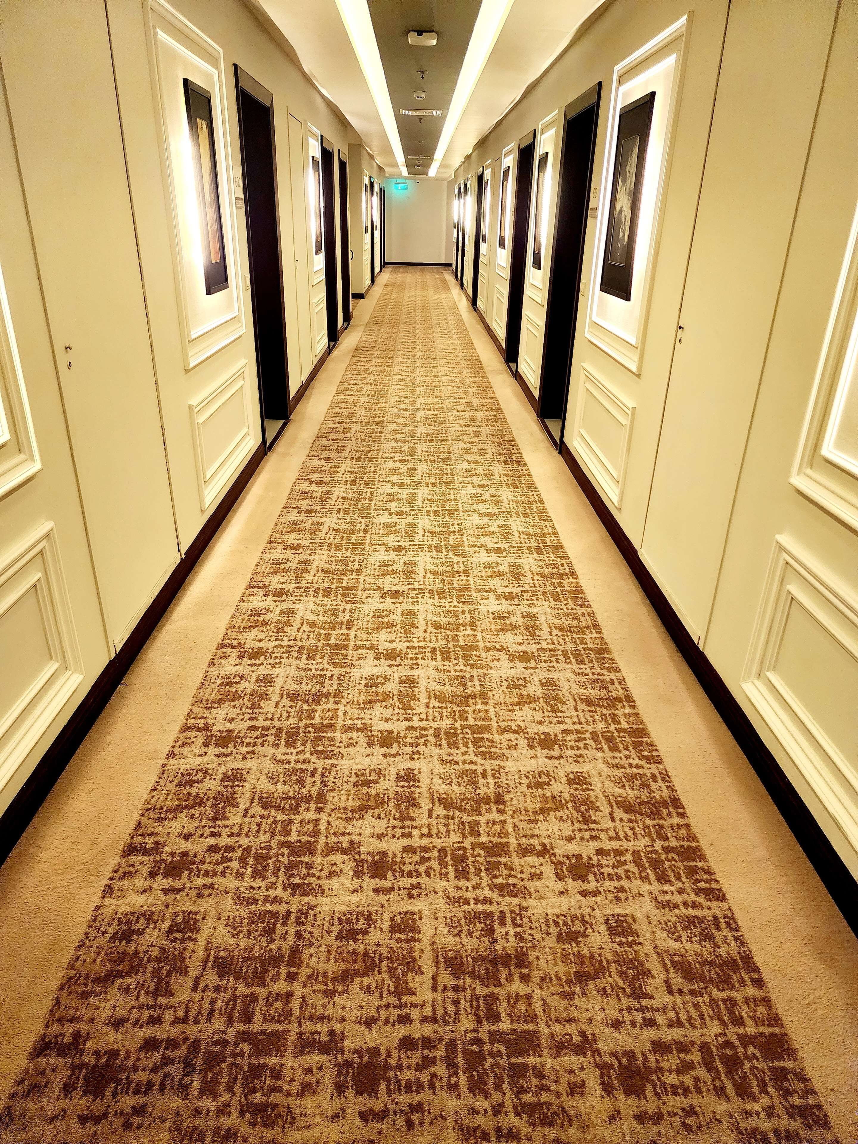 A long, carpeted hallway with doors on both sides, leading to individual rooms.