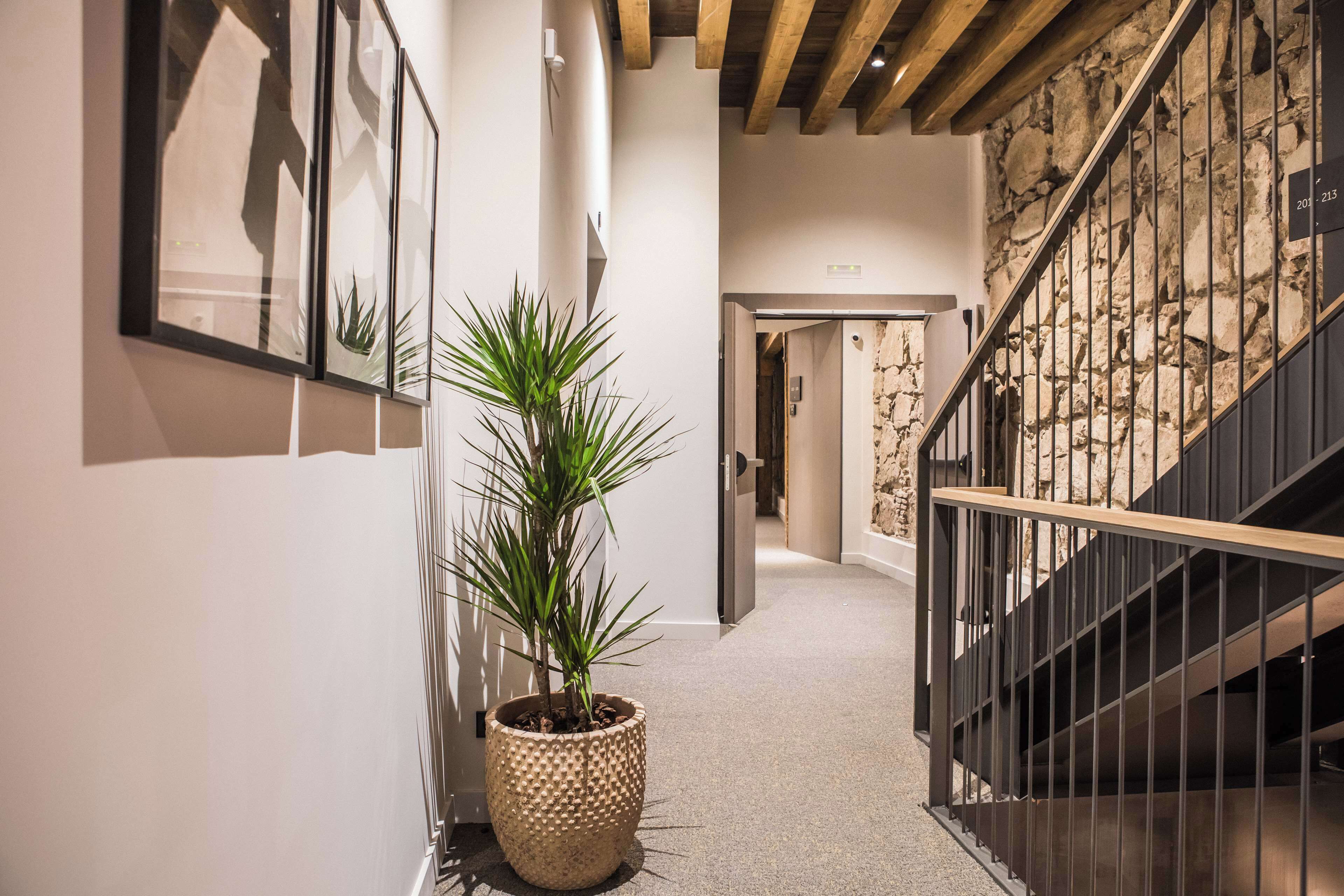 Photo - Sofraga Palacio