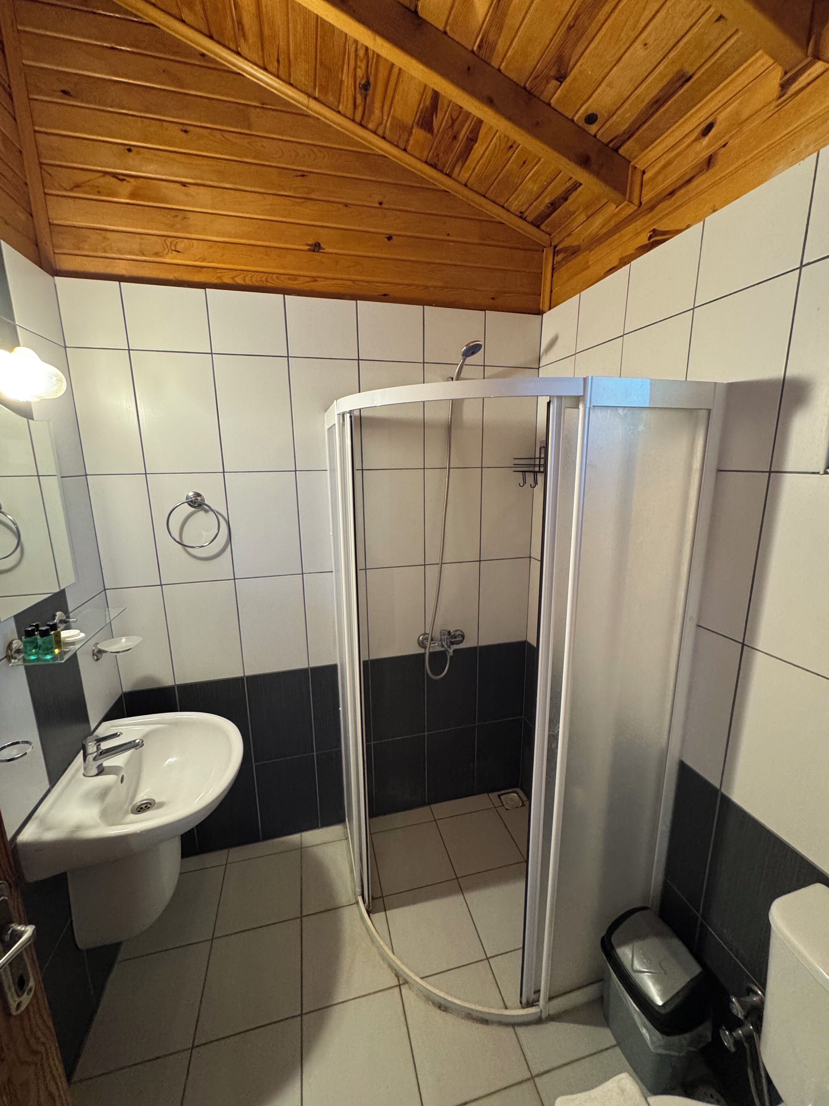 Une salle de bain avec douche, lavabo et toilettes.