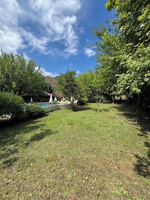 Uma área gramada ao ar livre com árvores, piscina e montanhas ao fundo.