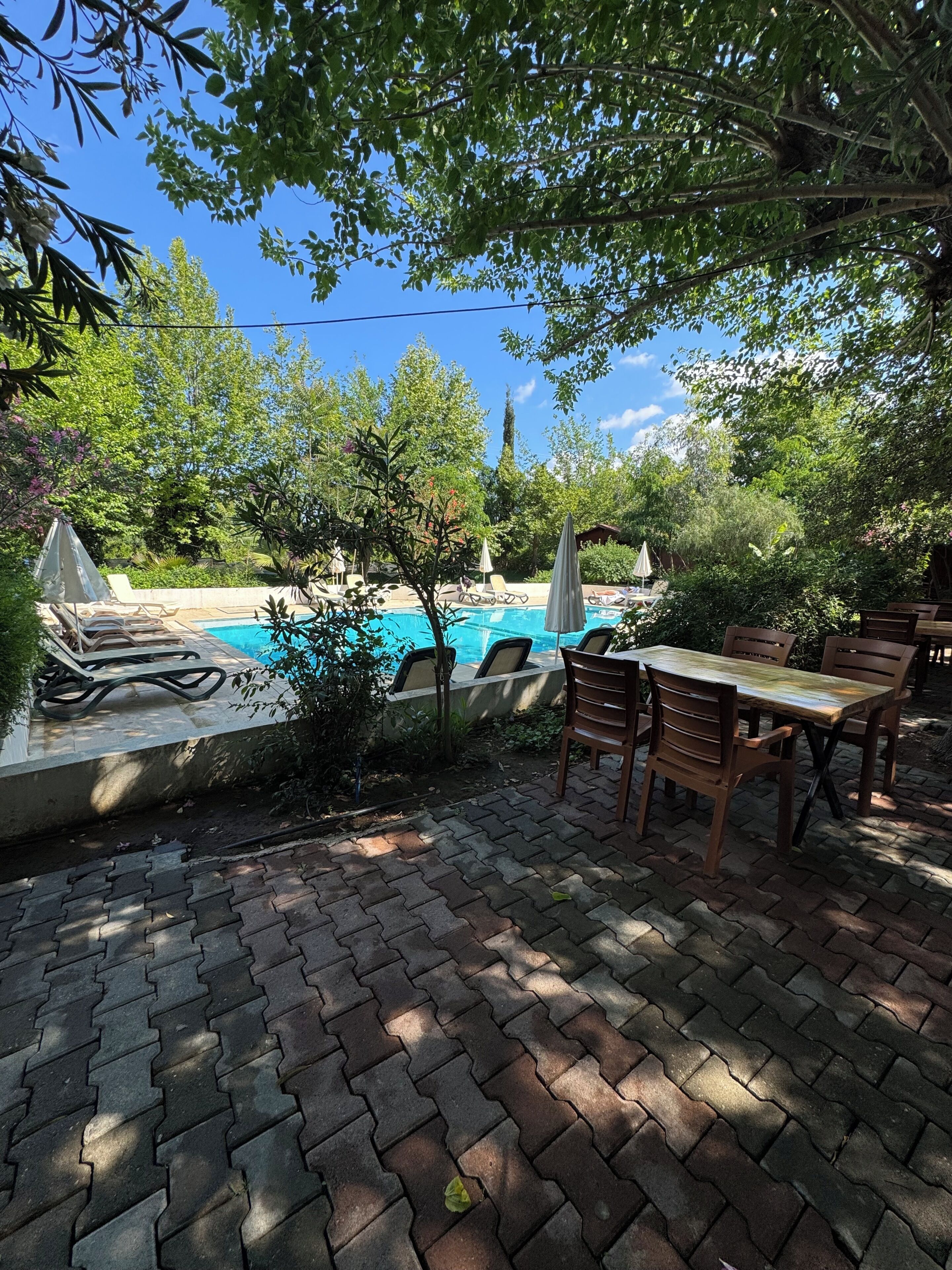 A pool area with lounge chairs and a table, surrounded by trees and greenery.