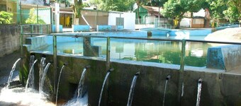 Muriqui-paraíso da Costa Verde - Praia e Cachoeira