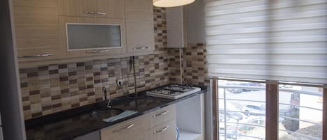 Deluxe Apartment | Private kitchen | Fridge, oven, stovetop, eco-friendly cleaning products