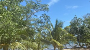 A sandy beach with palm trees and a clear sky. - Shedrock Shangrila, Beachfront Ocean Breeze Suite (Hopkins)