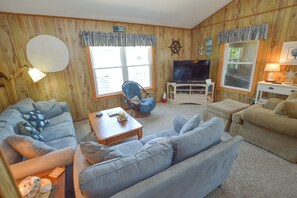 TV, DVD player, books, video library