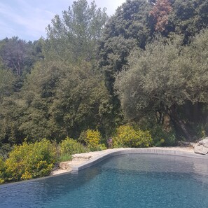 Una piscina con agua azul cristalina, rodeada de exuberante vegetación y árboles.