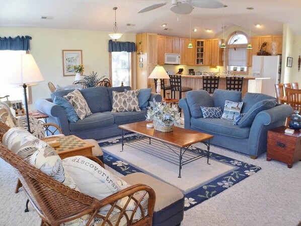 TV, fireplace, video games, books