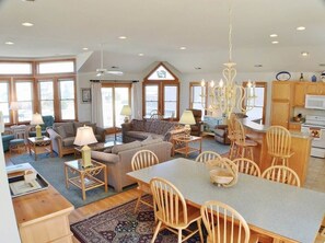 TV, fireplace, video games, DVD player