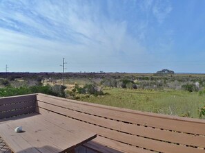 Property grounds - This home is nicely decorated, well maintained and offers something for everyone in the family. (South Nags Head)