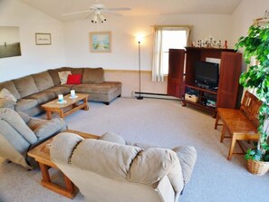 TV, DVD player, books, video library