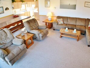 TV, DVD player, books, video library