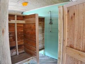 Combined shower/bathtub