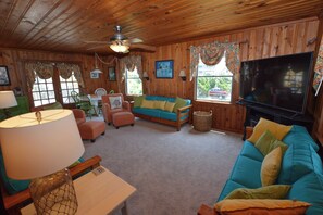 TV, fireplace, video games, books