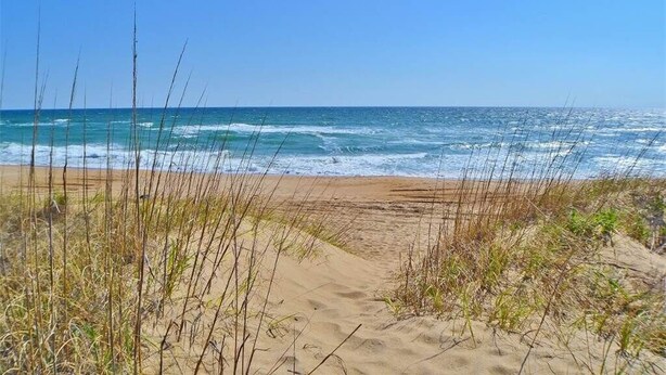 Ein Strand mit Sand und vereinzelter Vegetation.