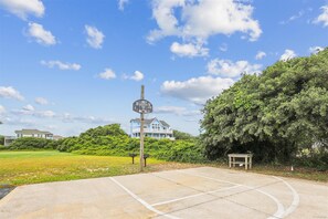 A basketball court with a hoop, surrounded by greenery and houses.
