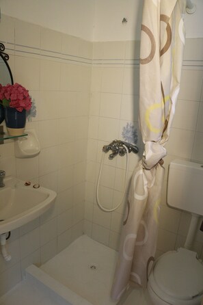 Shower, towels, soap, toilet paper
