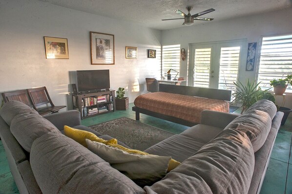 Smart TV, DVD player, books, stereo