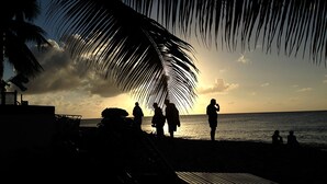 Een strandscène met palmbomen en mensen die in een zonsondergang silhouet vormen.