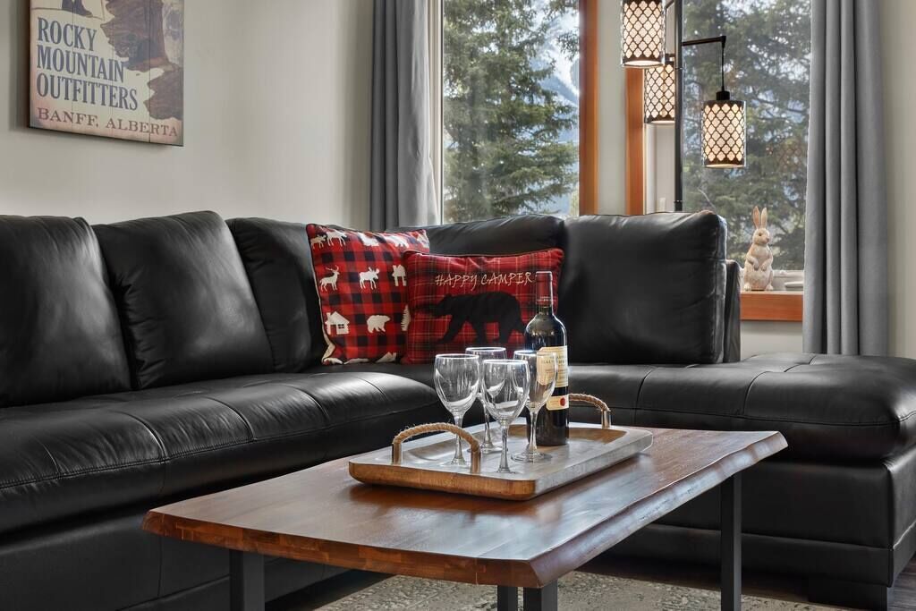 TV connectée, cheminée, lecteur de DVD