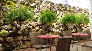 A stone wall with plants, wicker chairs, and red tables in a well-lit indoor area. - Hotel Villa Ángel (Neiva)