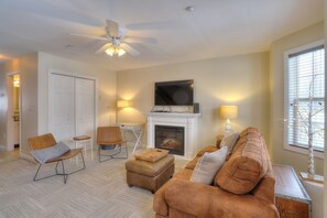 Smart TV, fireplace, DVD player, books