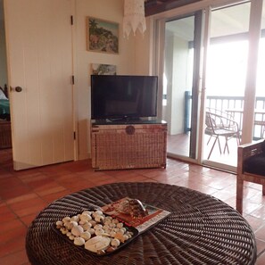 Smart TV, DVD player, books