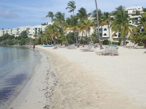 بالقرب من الشاطئ