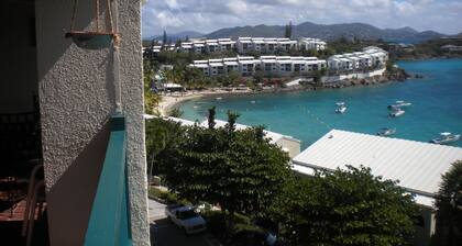 Caribbean Style Condo Overlooking Cowpet Bay with Spectacular Views