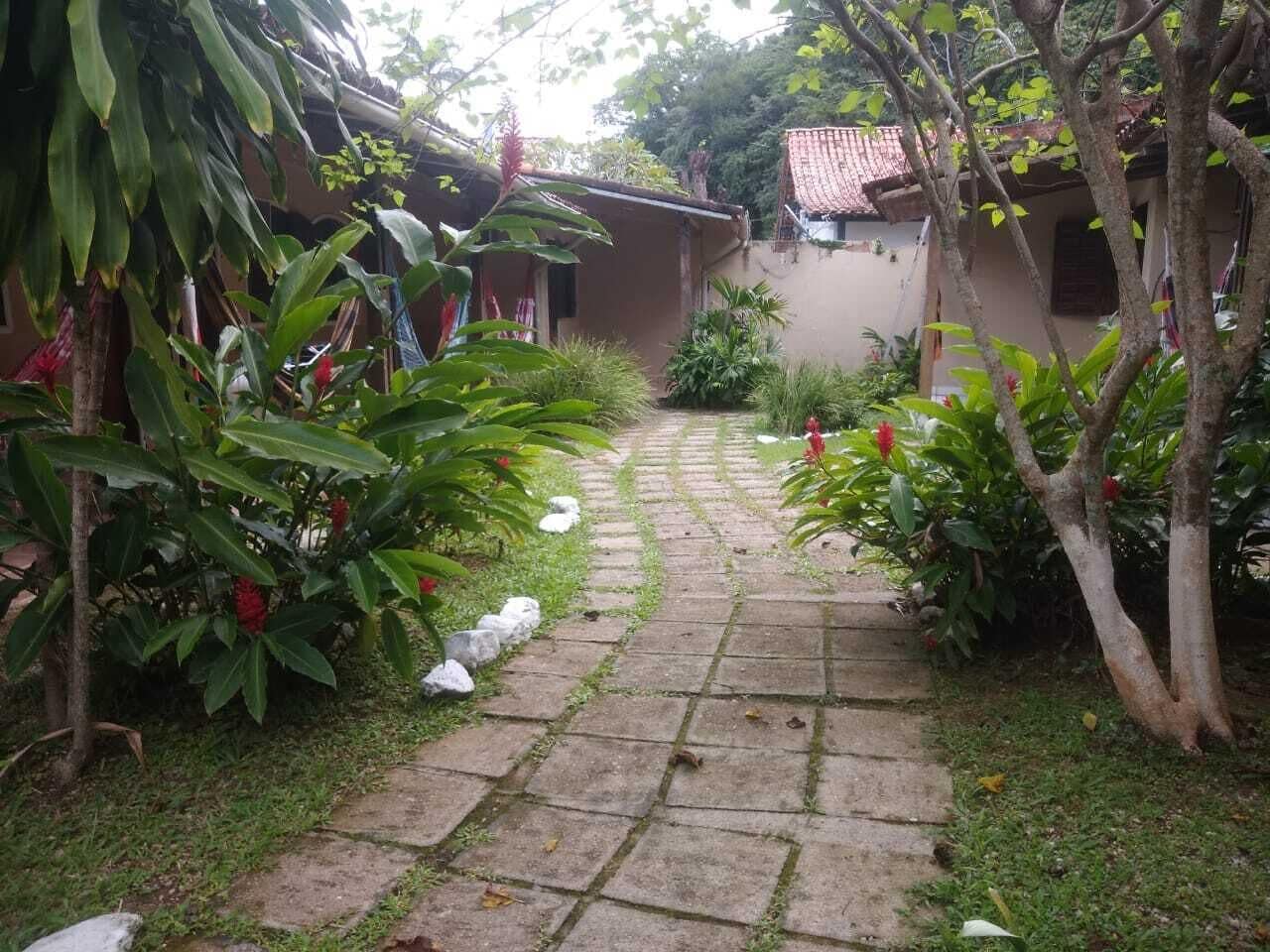 Um caminho de pedra serpenteia por um jardim com diversas plantas e árvores.