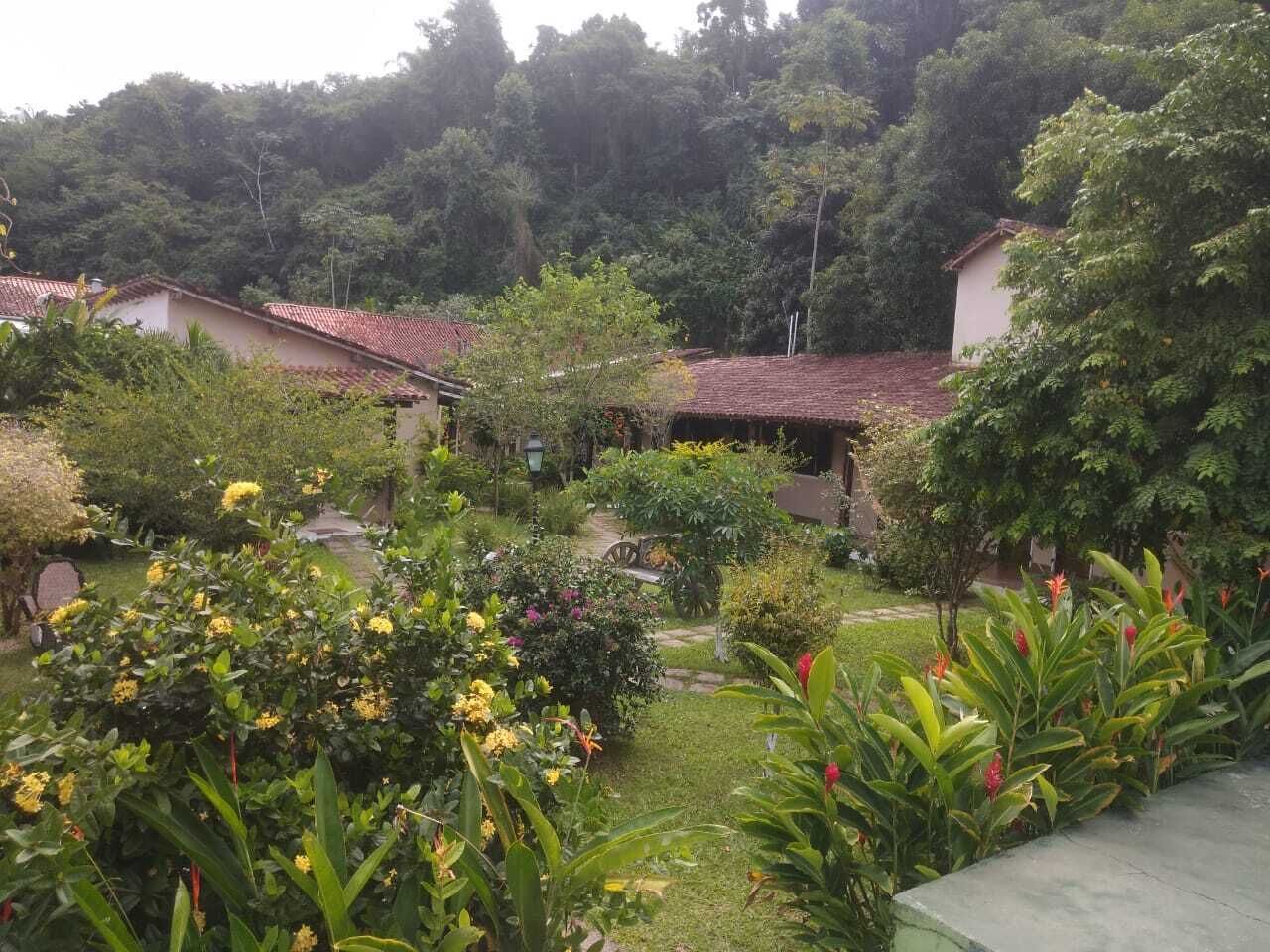 A courtyard with a pathway, surrounded by lush greenery and a building with a tiled roof.