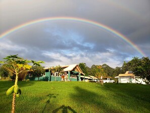 Property grounds - NEW 2 bedroom hosted Tranquil Island Getaway (Hilo)