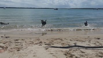 Una spiaggia nelle vicinanze